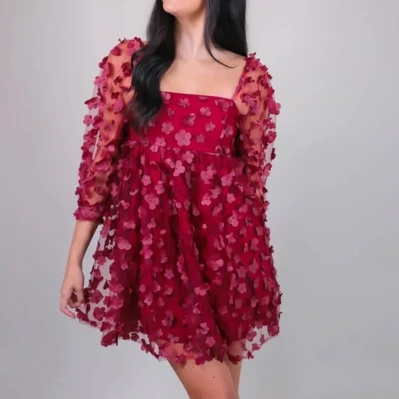 Storia 3D Floral Babydoll Mini Dress in Burgundy - US S (fits like XS) - Picture 6 of 6
